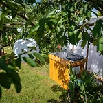 U Basi Glamping 3* Mikolajki (Mragowo)